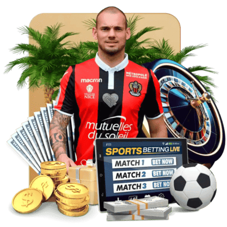 认识凯发体育 认识凯发体育